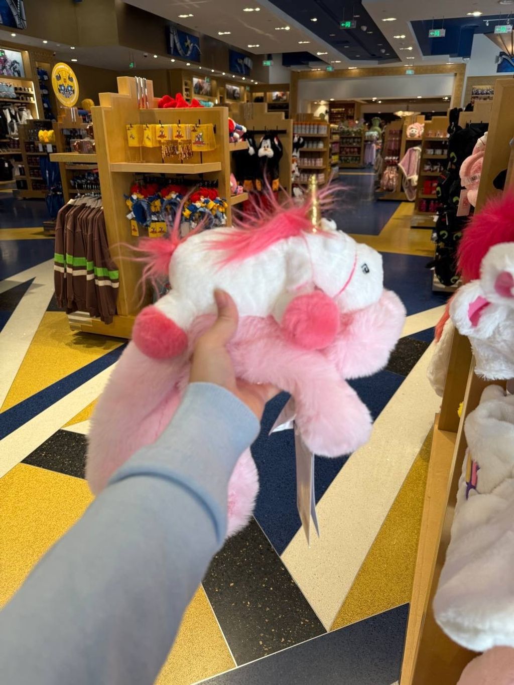 IMG_2081-1732370447945