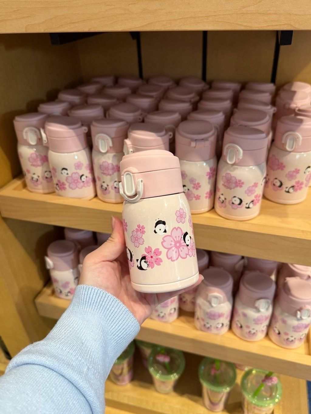 IMG_2091-1732370806483