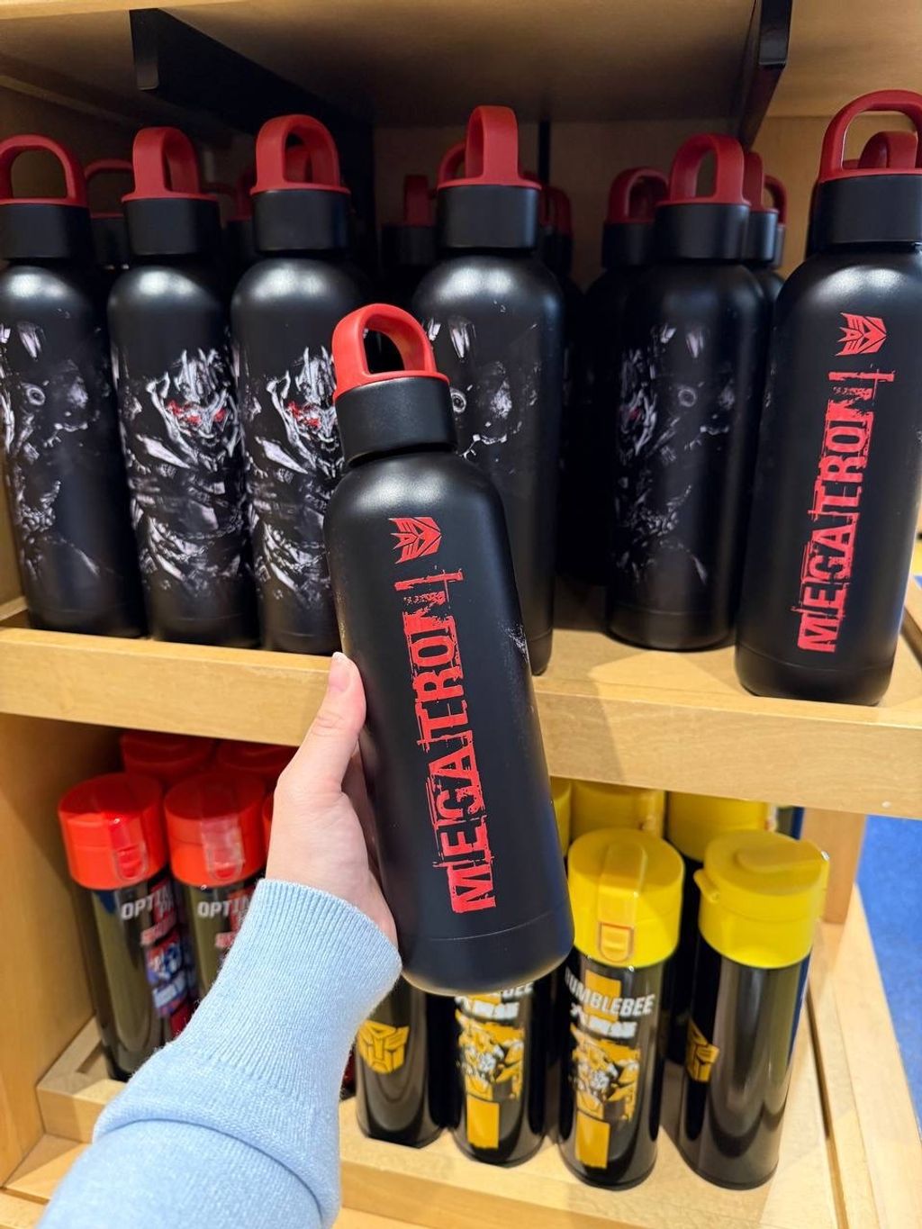 IMG_2101-1732371013906