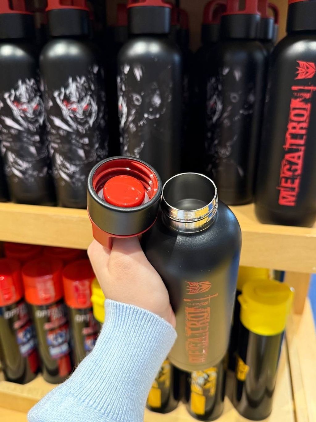 IMG_2102-1732371013913