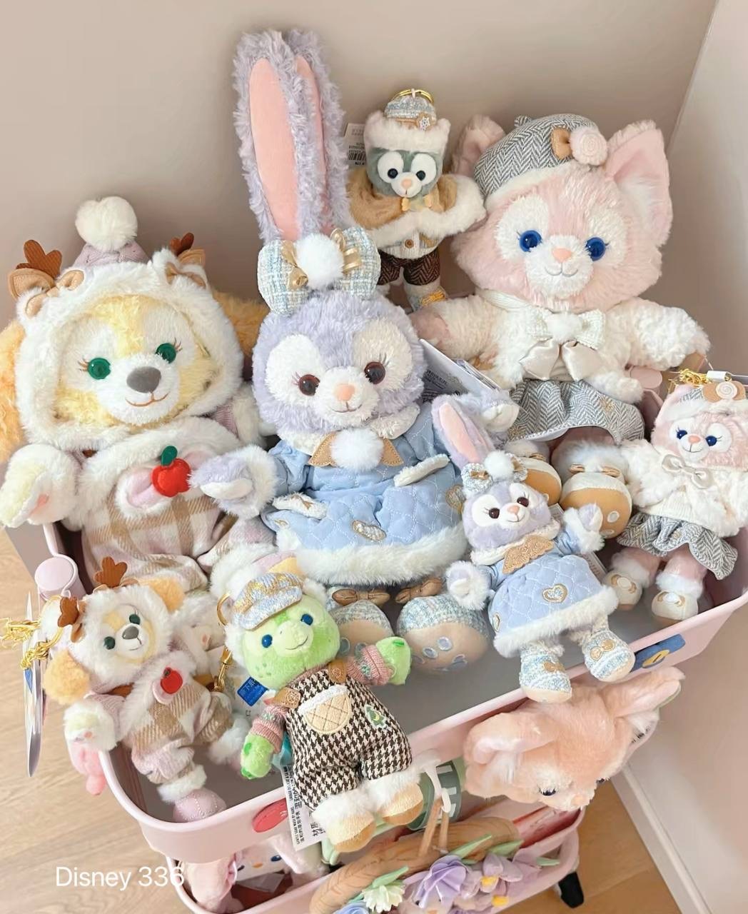 IMG_2135-1732371840076