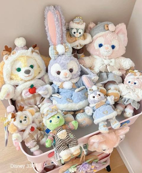 IMG_2135-1732371840076