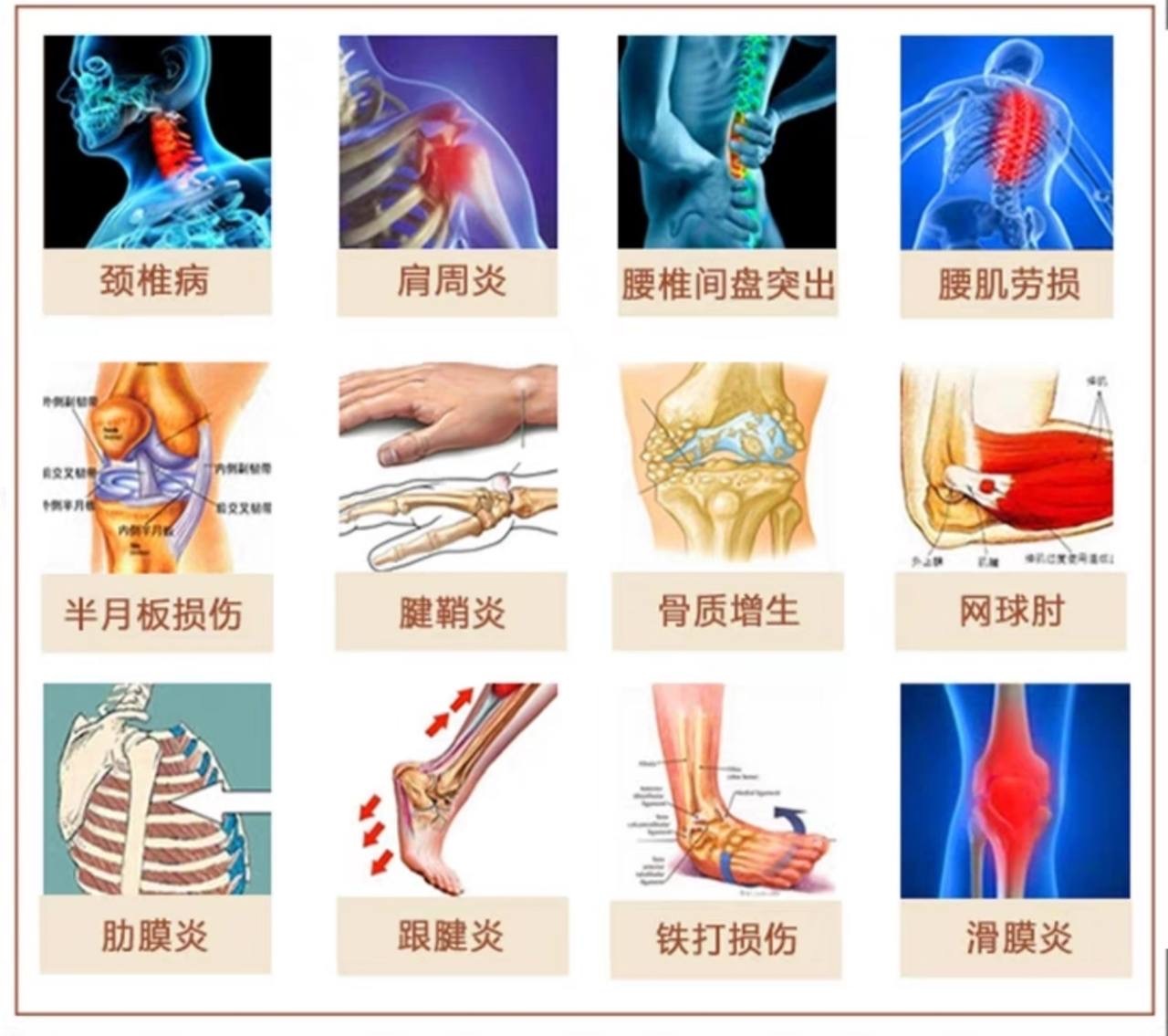 IMG_2403-1732879781788