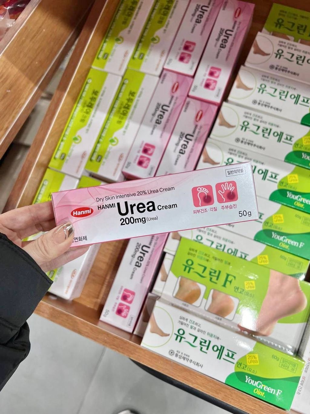 IMG_2406-1732879832143