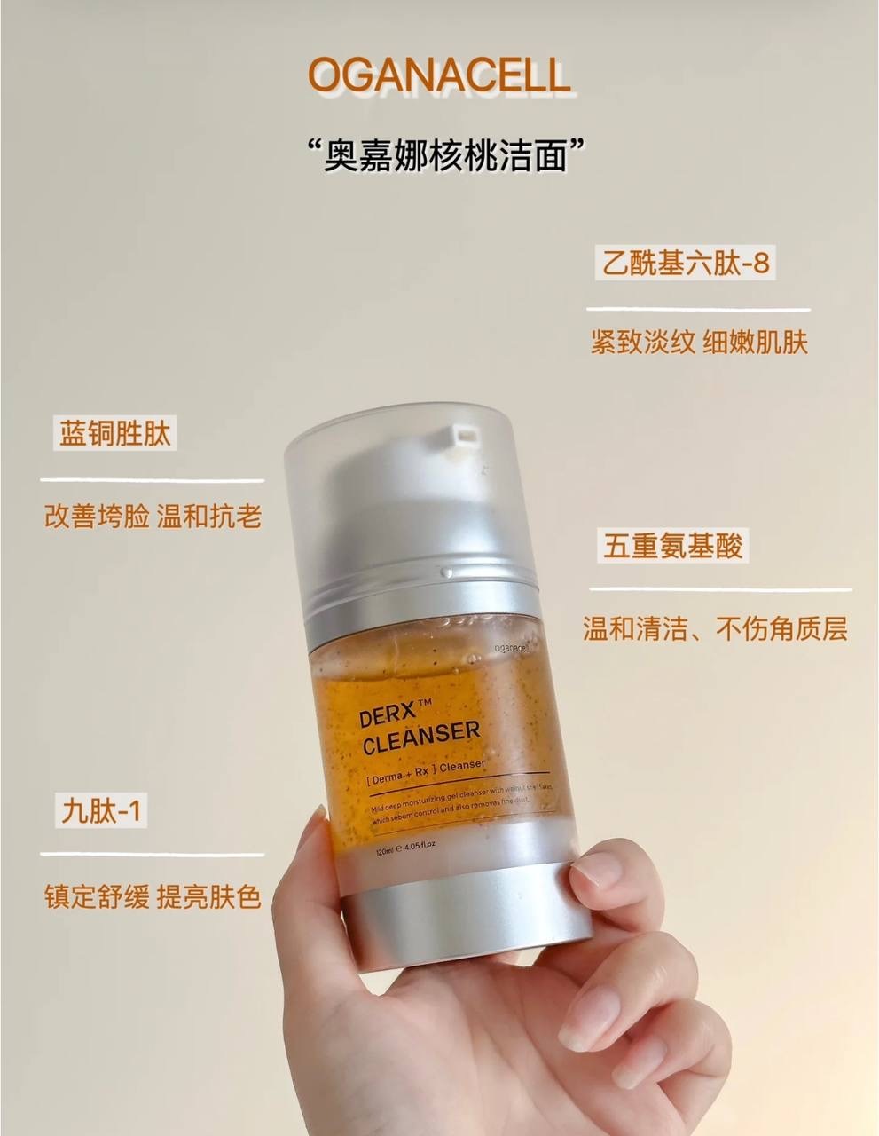 IMG_2515-1732881856504