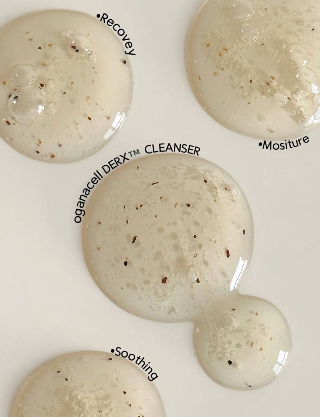 IMG_2517-1732881856516