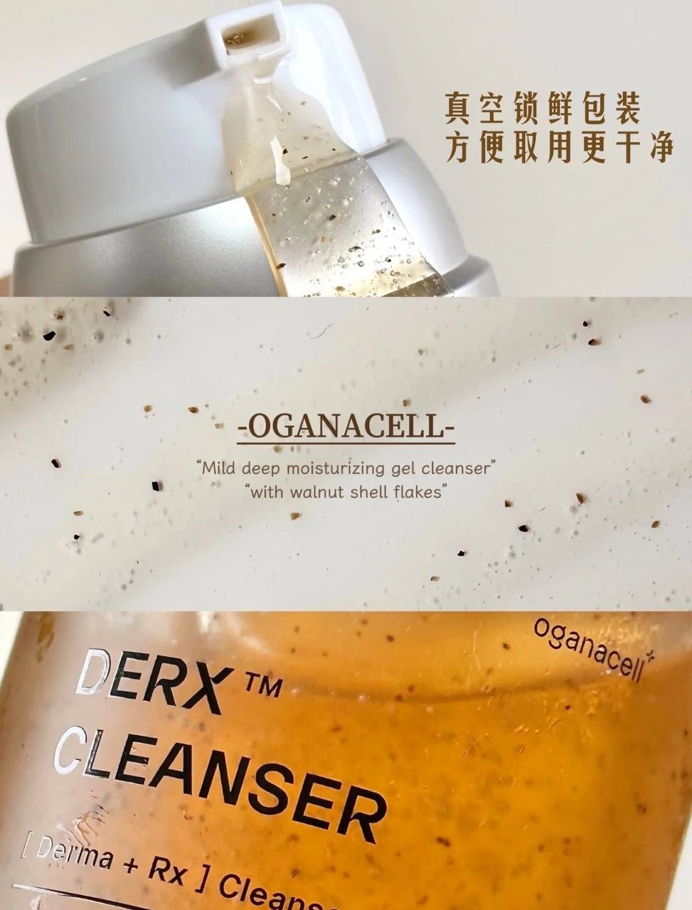 IMG_2523-1732881856561