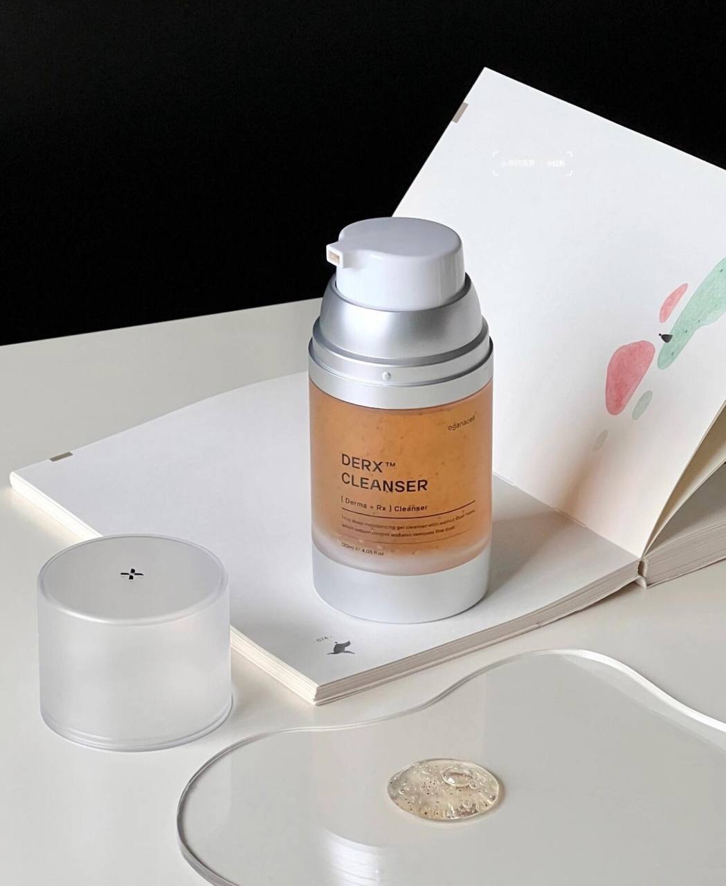 IMG_2525-1732881856576