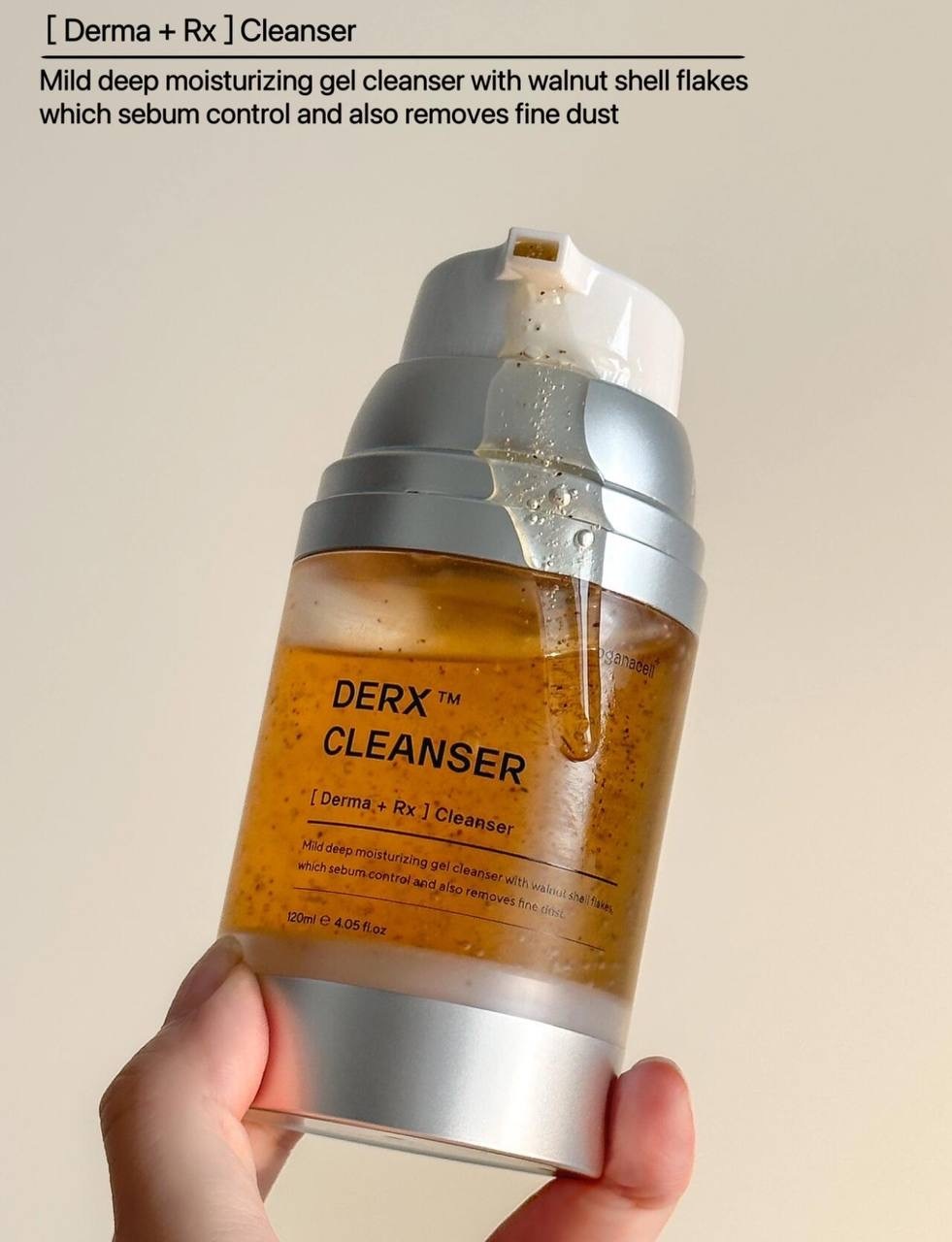 IMG_2516-1732881856598