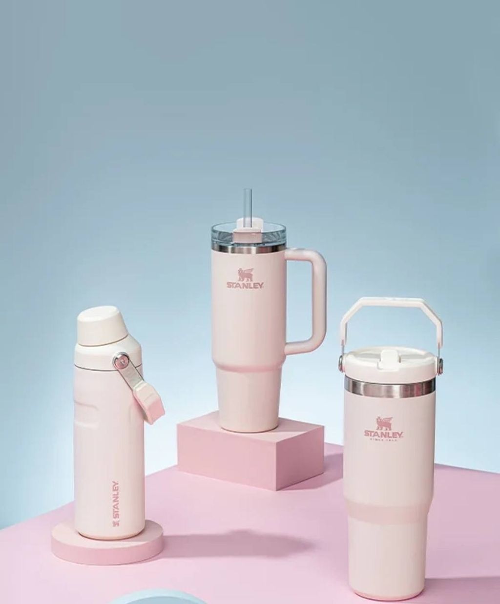 IMG_3668-1733065975995