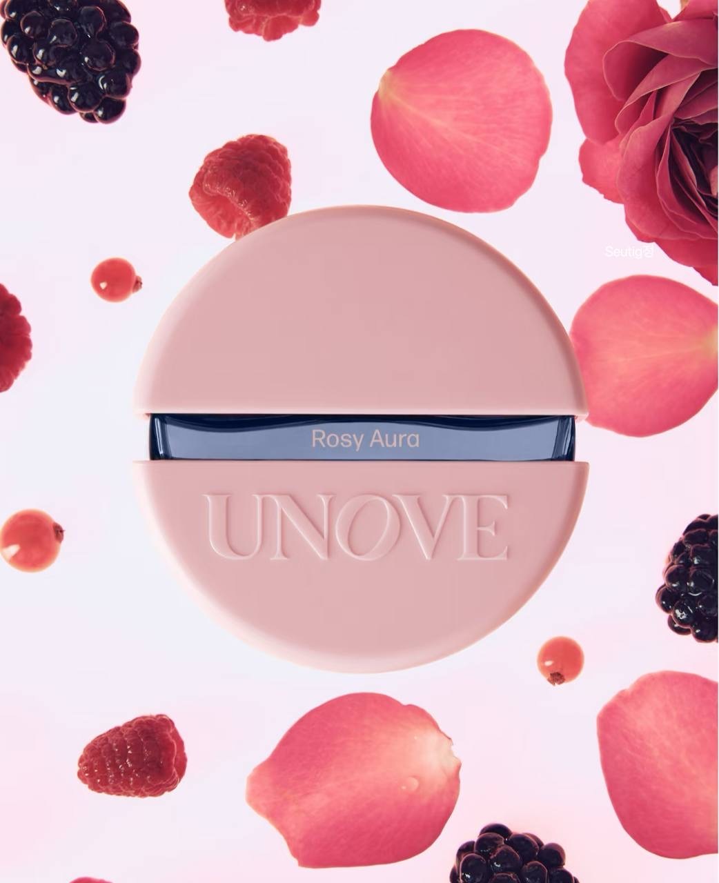 IMG_3705-1733137740272