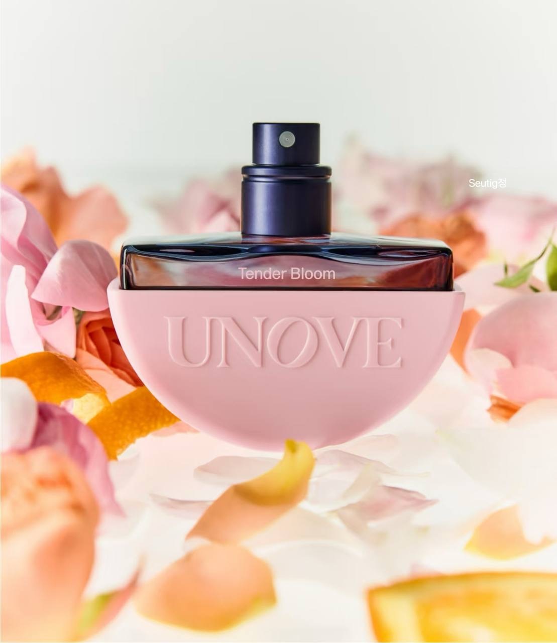 IMG_3706-1733137740266