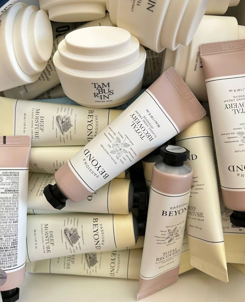 IMG_3764-1733138673124