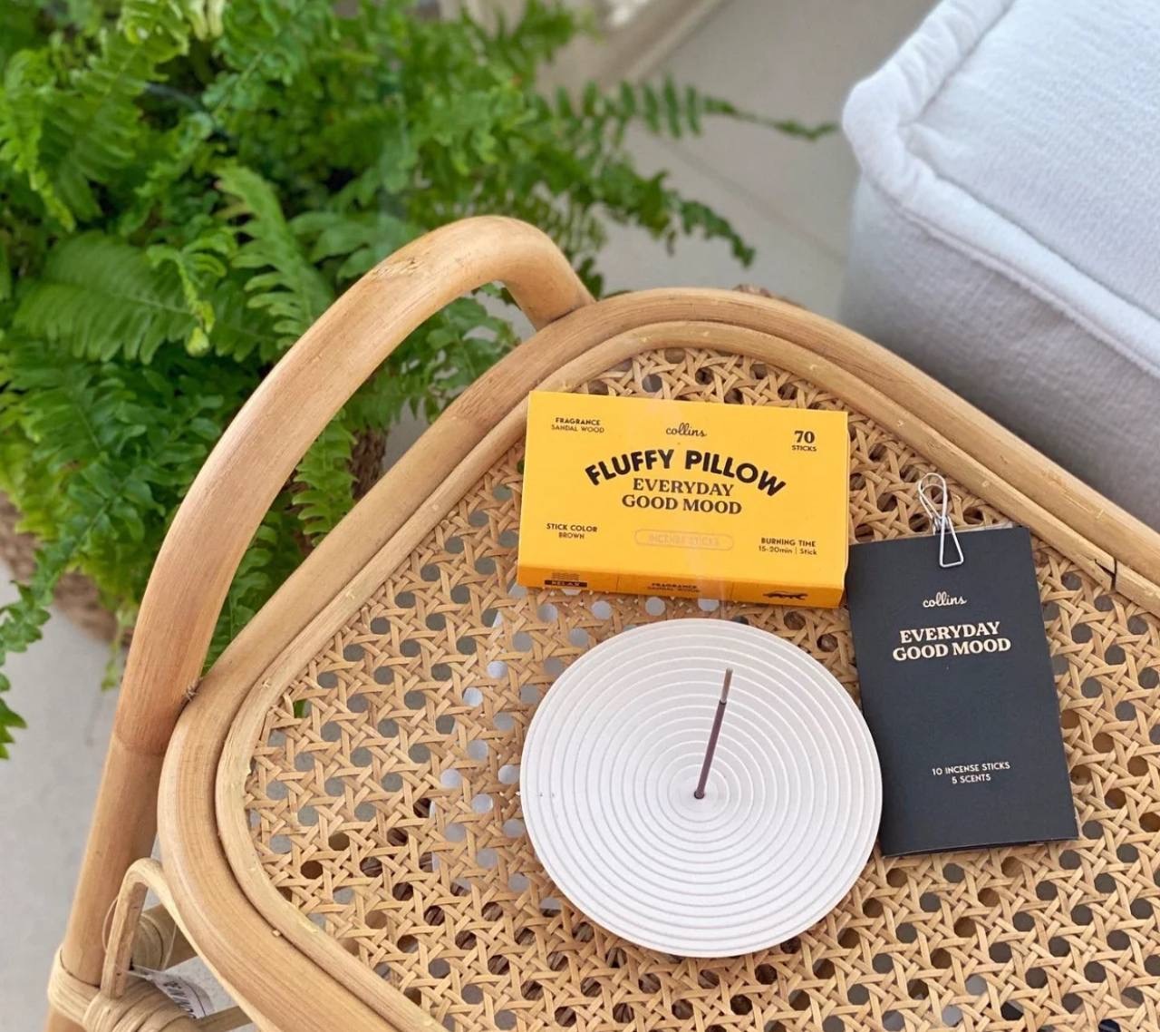 IMG_3858-1733139949681