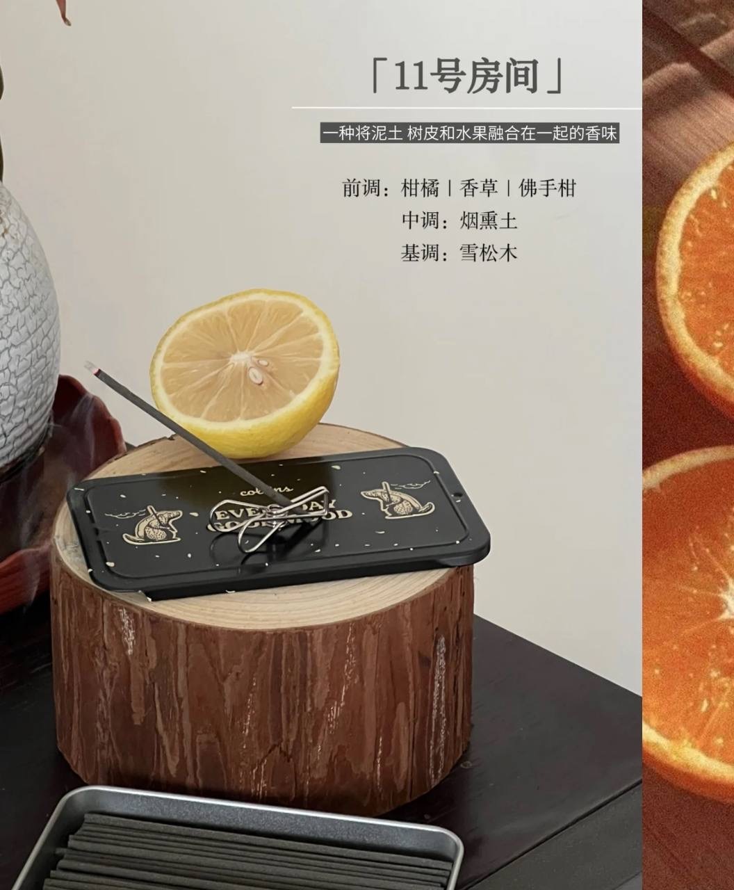 IMG_3866-1733139949697