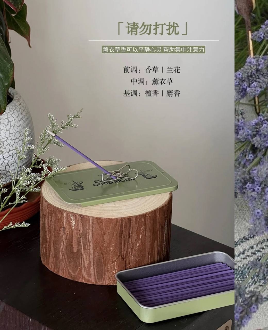 IMG_3865-1733139949702