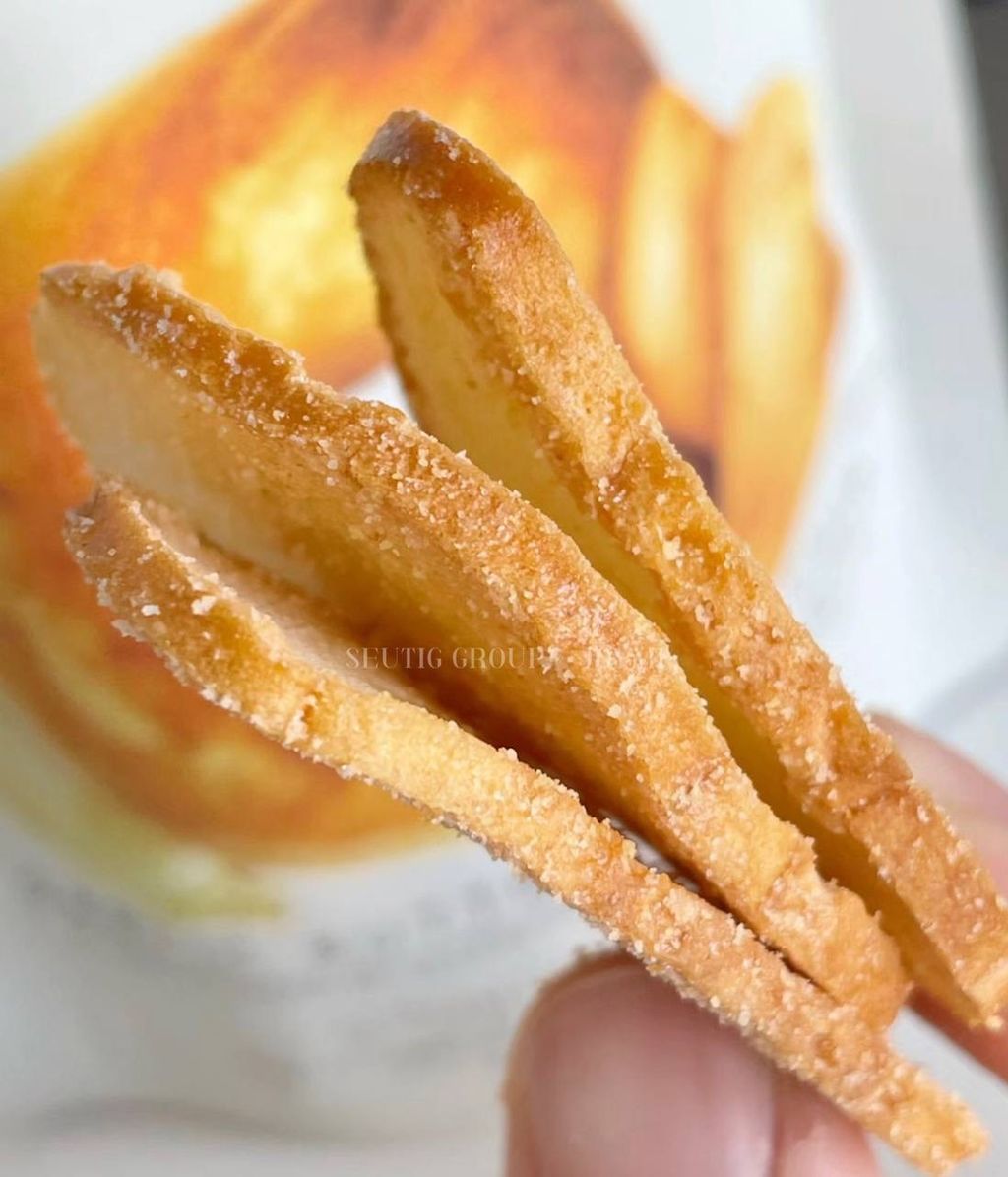 IMG_4512-1733225517518