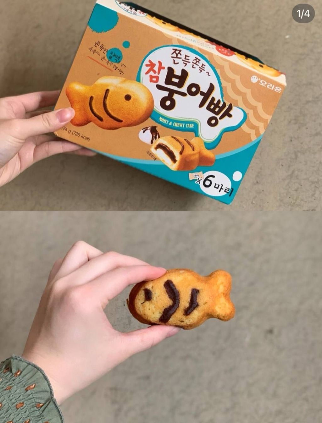 IMG_5251-1733391319758