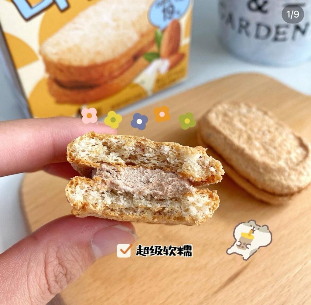 IMG_5282-1733391643234