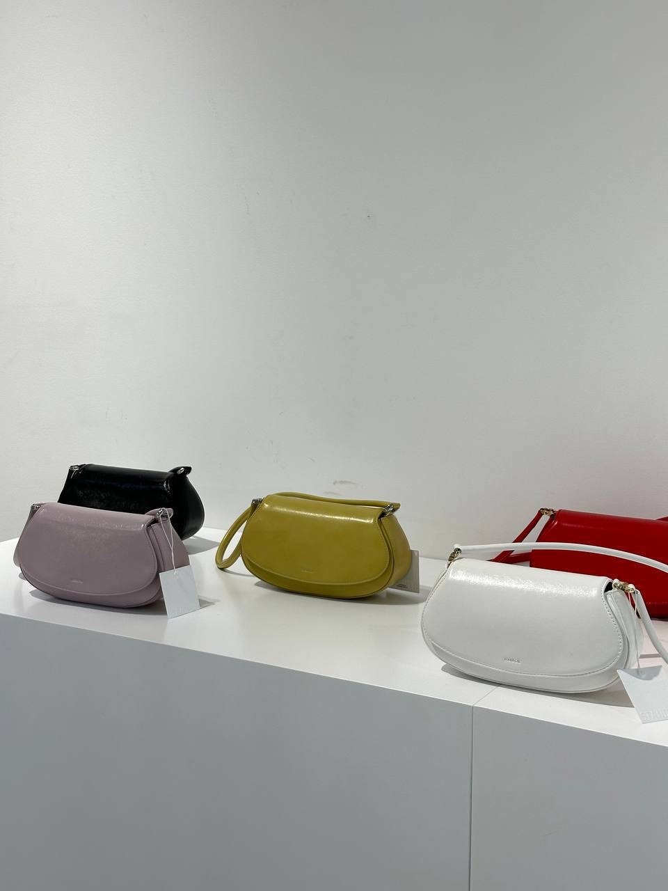 IMG_5342-1733392015520