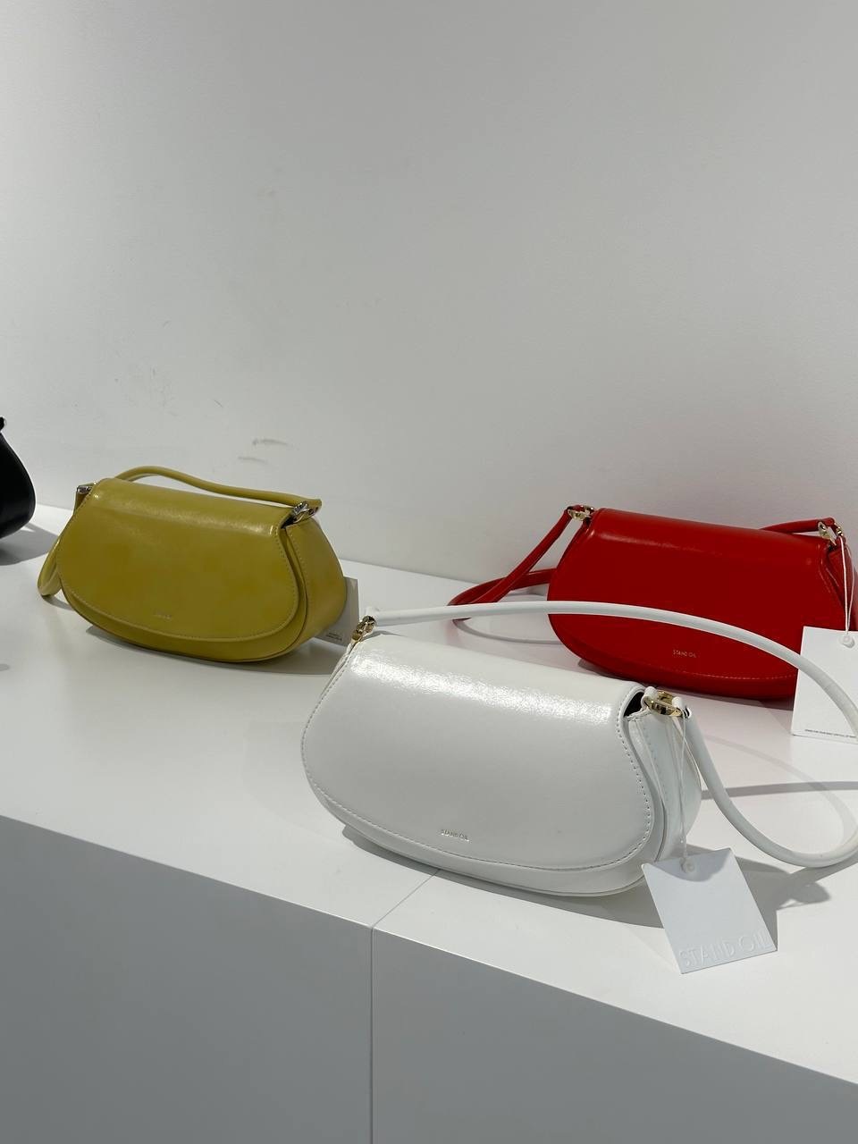 IMG_5341-1733392015524