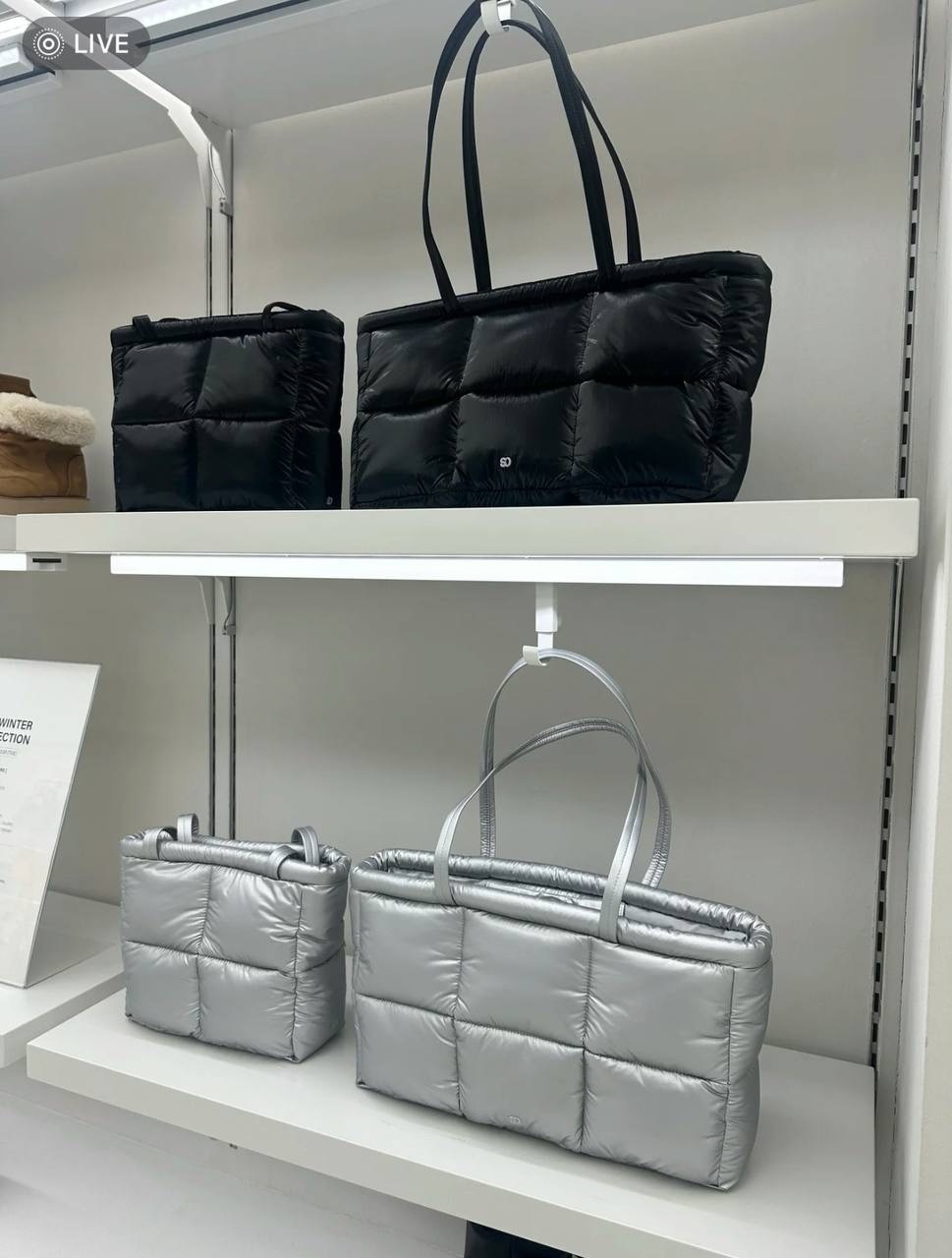 IMG_5374-1733392381219