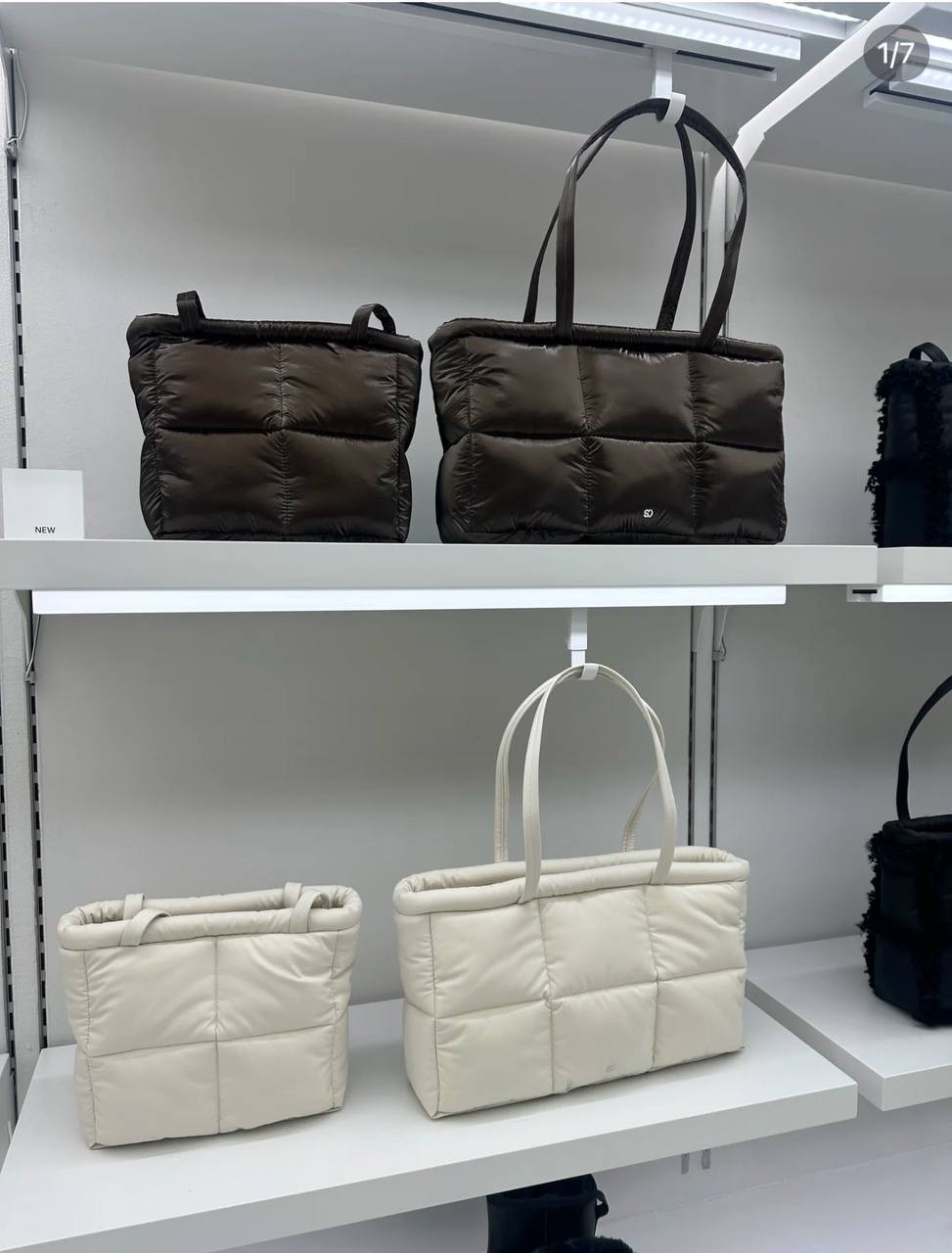 IMG_5373-1733392381257