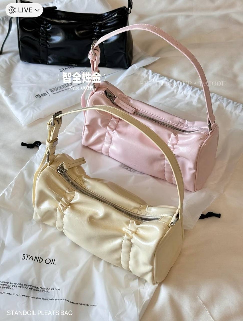 IMG_5504-1733396513893