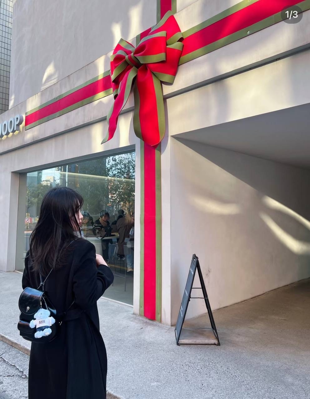 IMG_5566-1733397008841