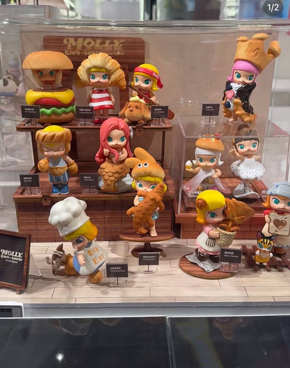 IMG_5671-1733398874499