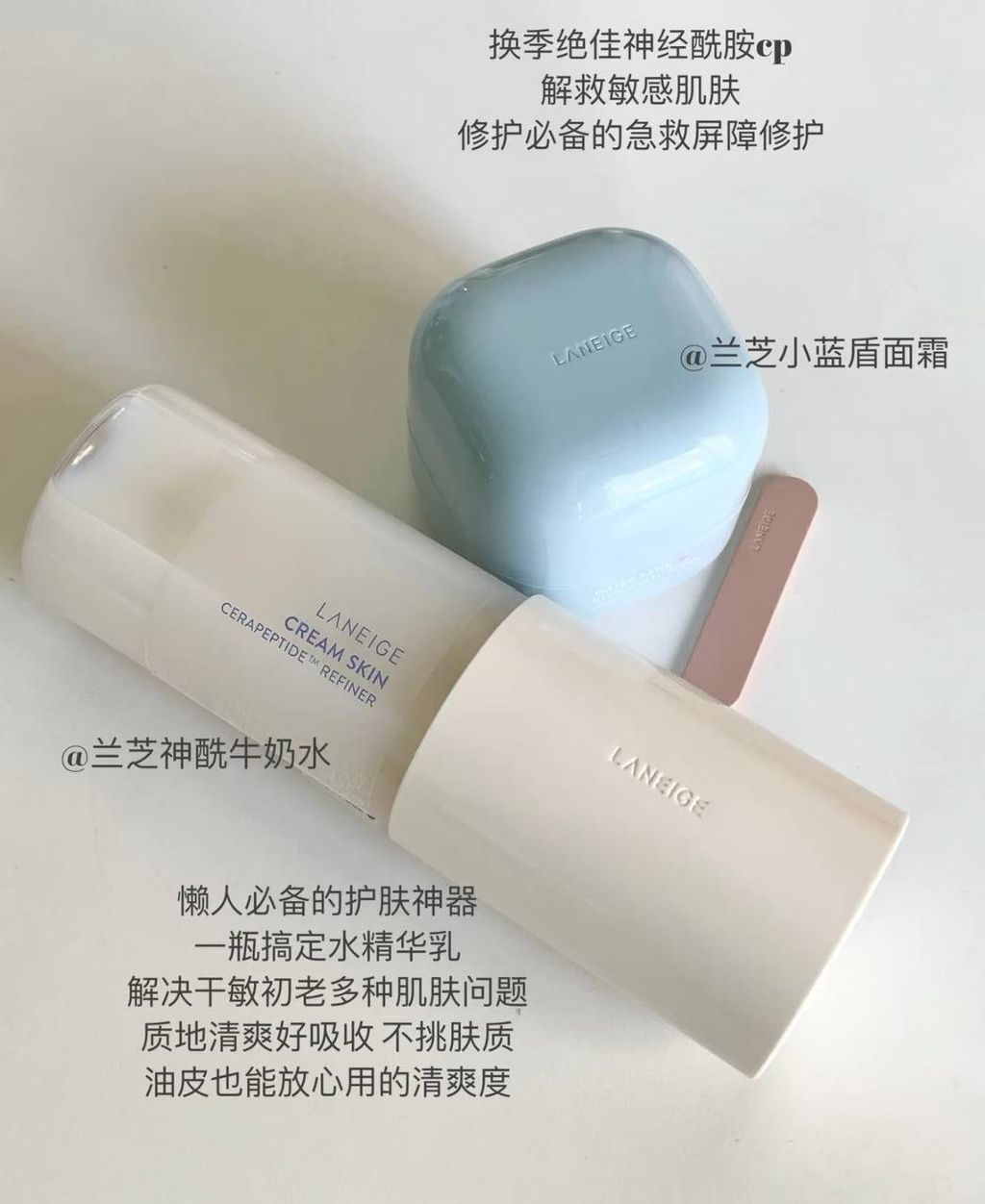 IMG_6006-1733582643300