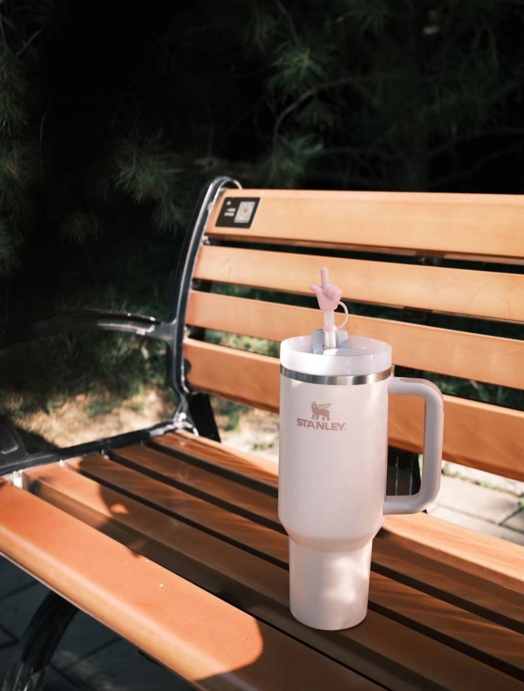 IMG_6764-1736075165750