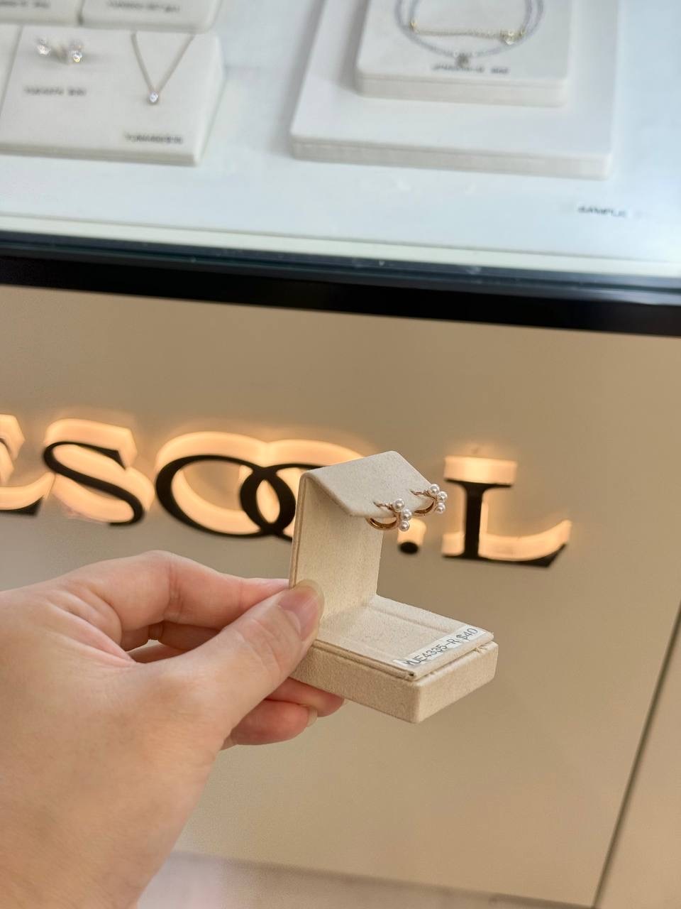 IMG_6803-1736076846140