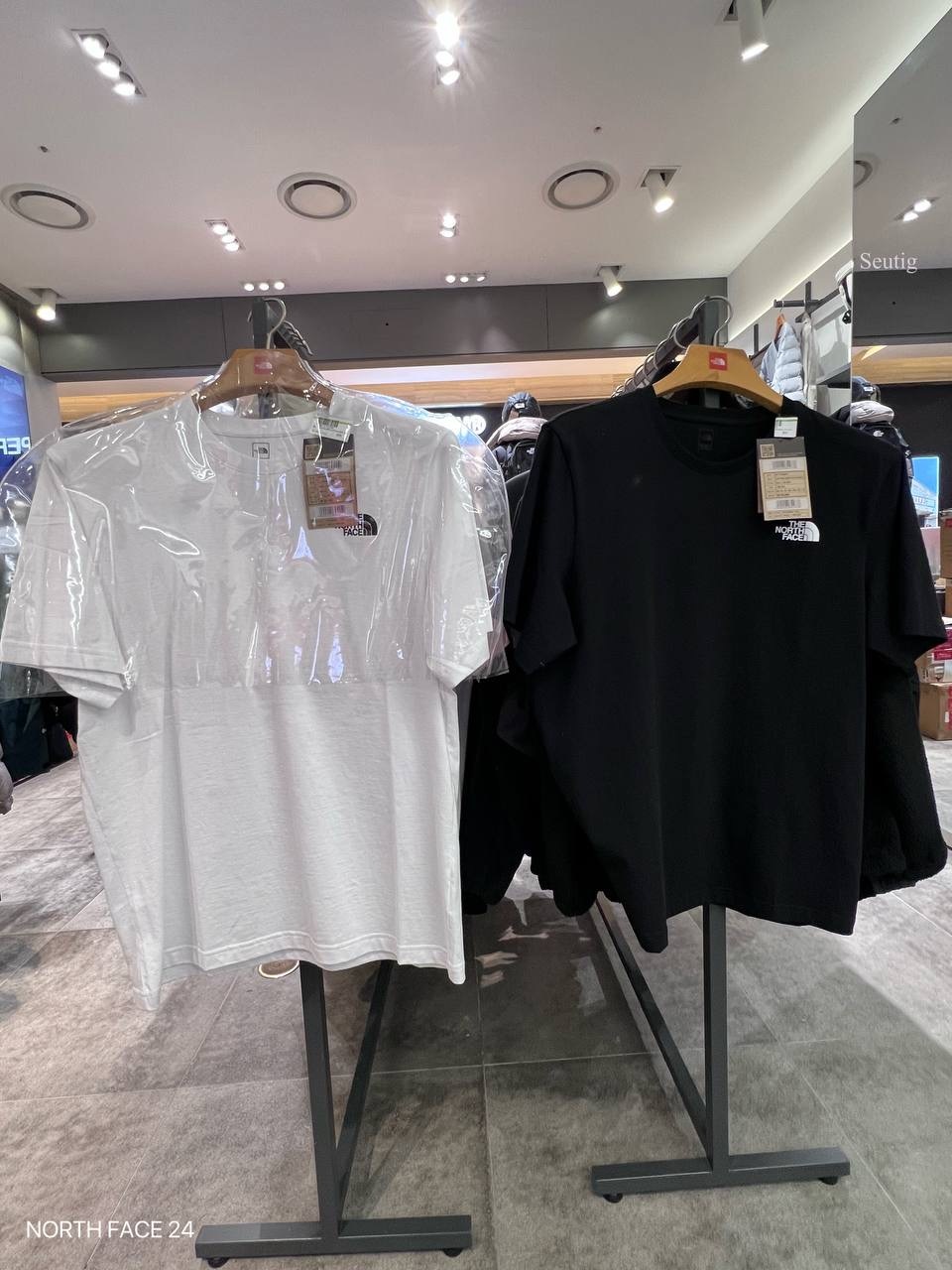 IMG_8793-1736328928803