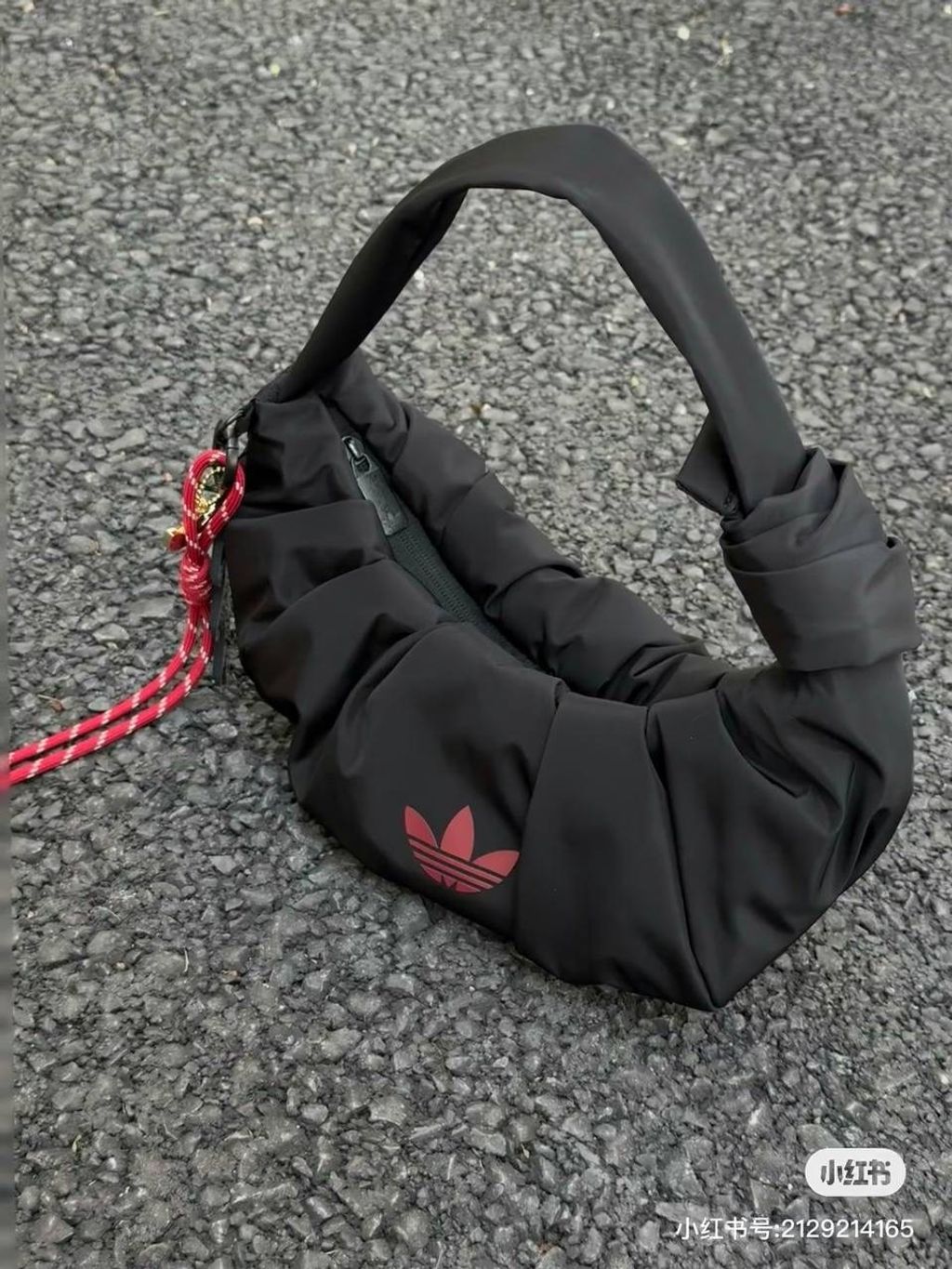 IMG_9129-1736339084253