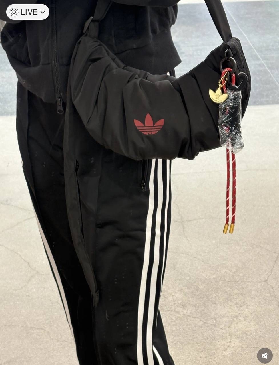 IMG_9133-1736339084262