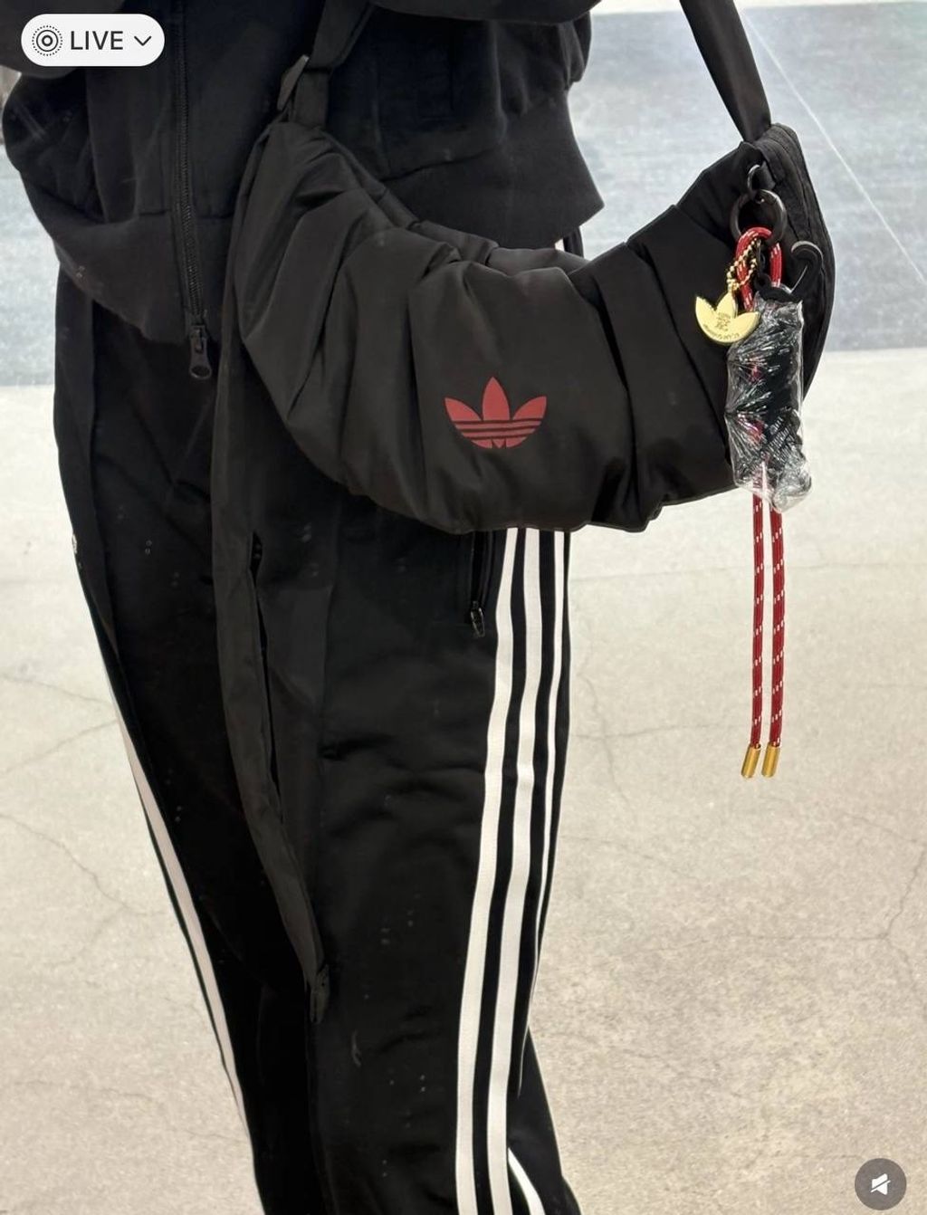 IMG_9133-1736339084262