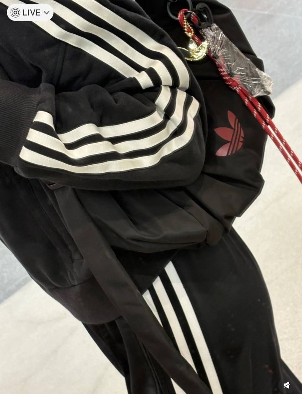 IMG_9134-1736339084278