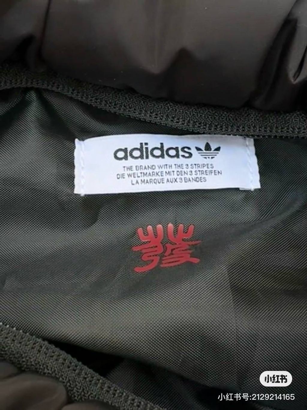 IMG_9141-1736339084297