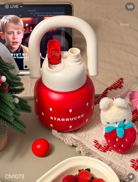 IMG_9256-1737038649348