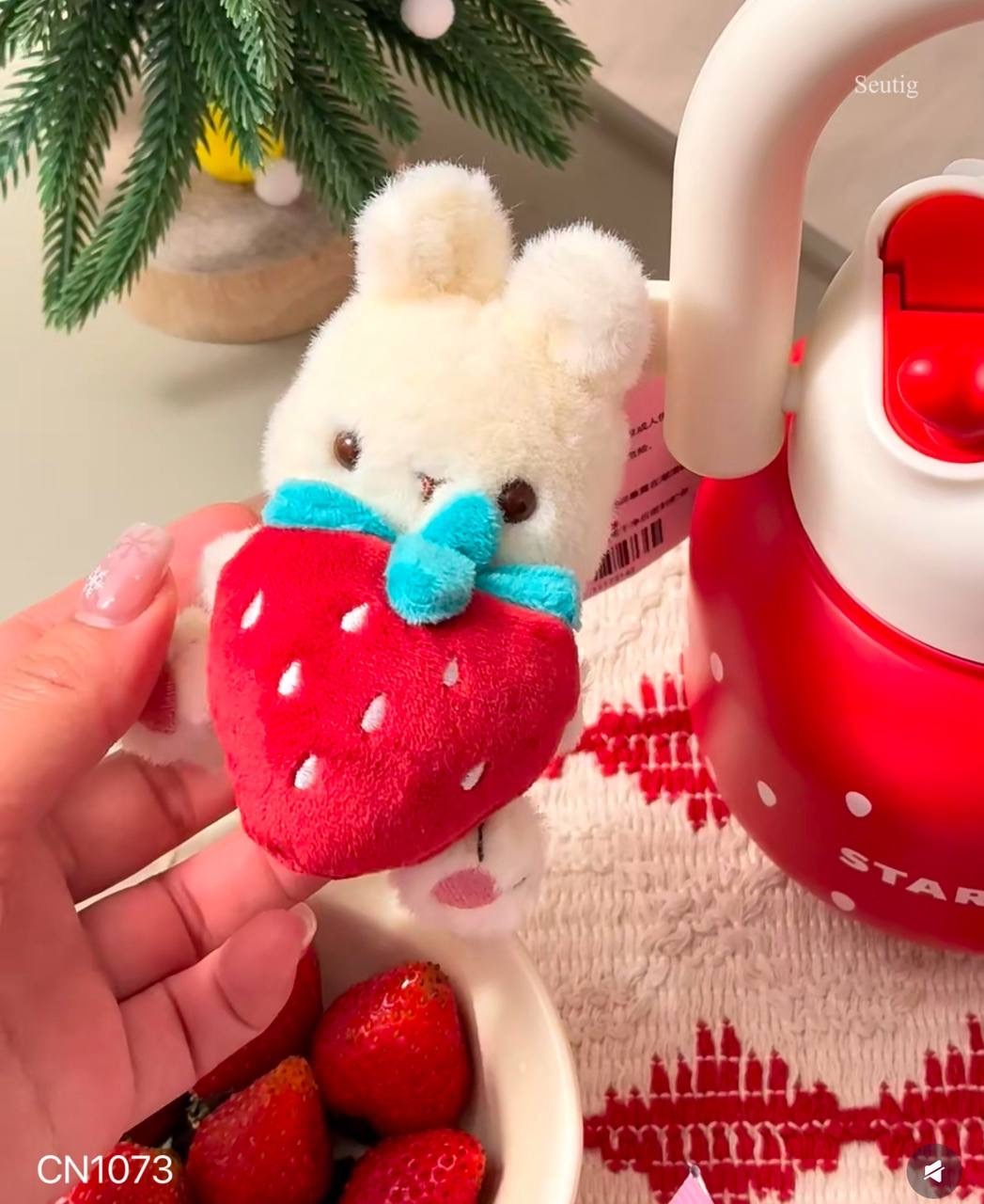 IMG_9259-1737038649338