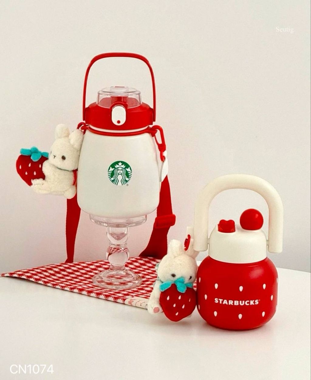 IMG_9269-1737038732193