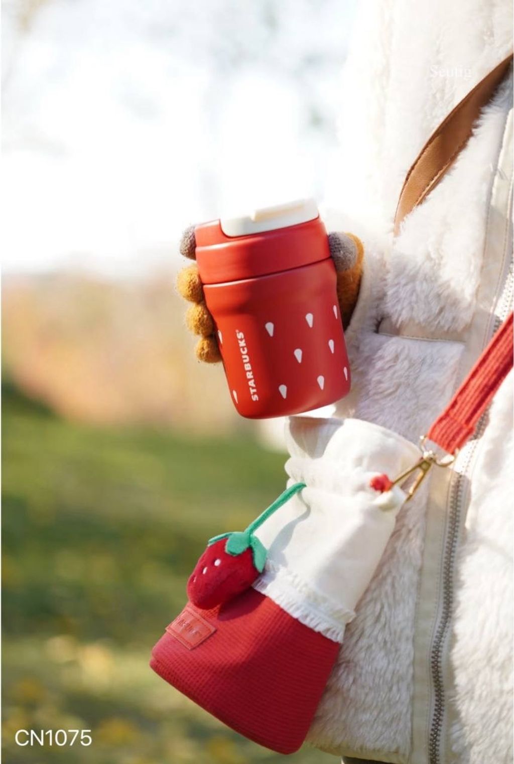 IMG_9277-1737038821764