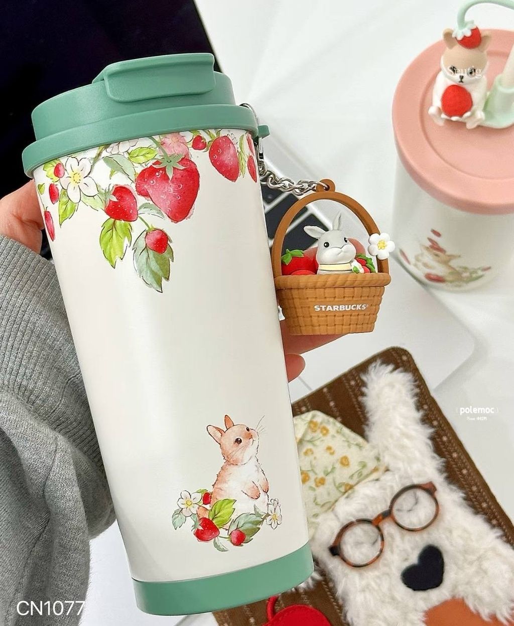 IMG_9290-1737038936027