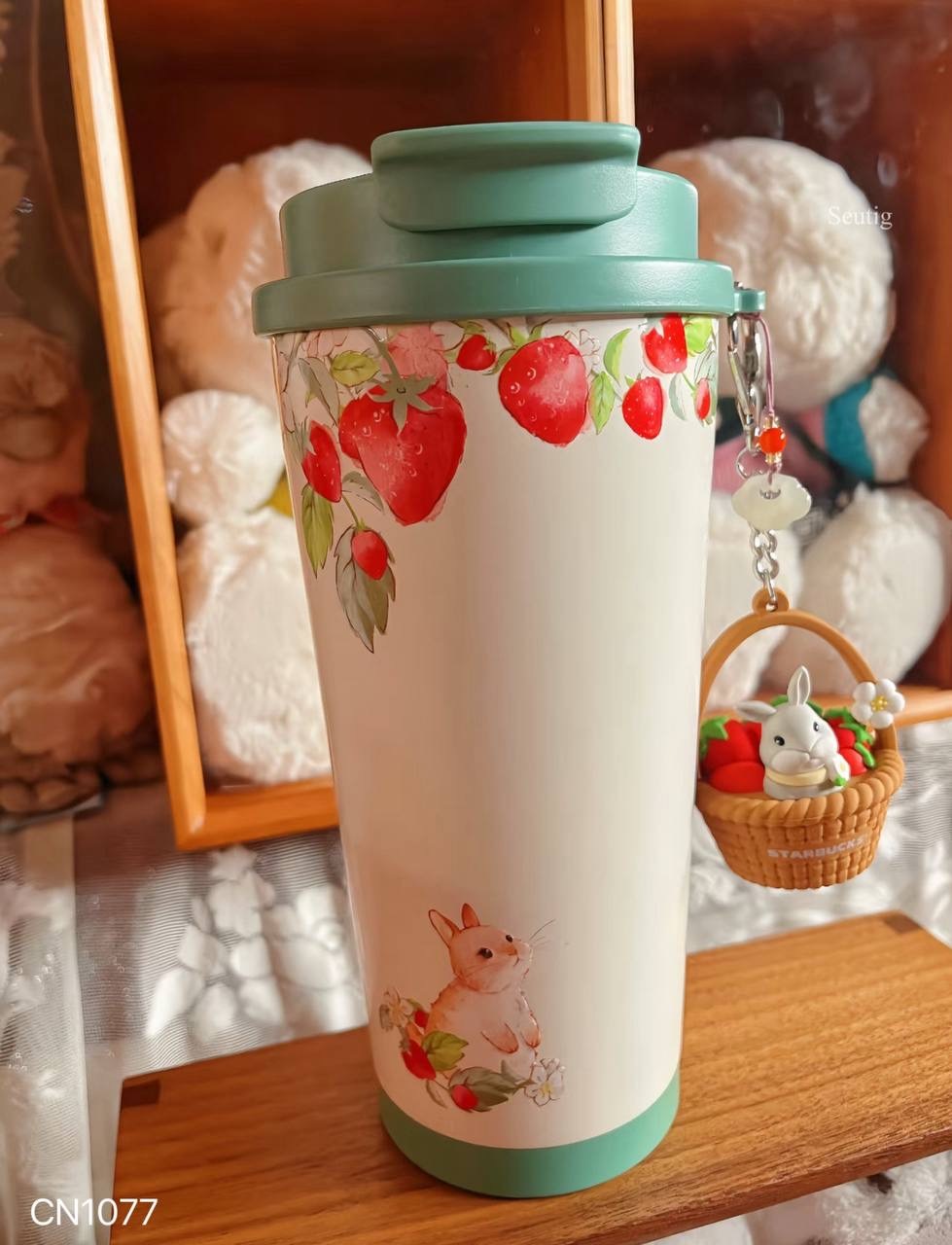 IMG_9295-1737038936036