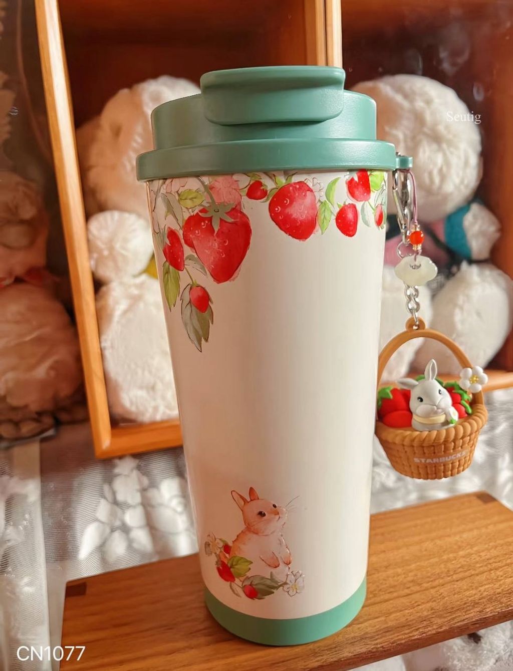 IMG_9295-1737038936036