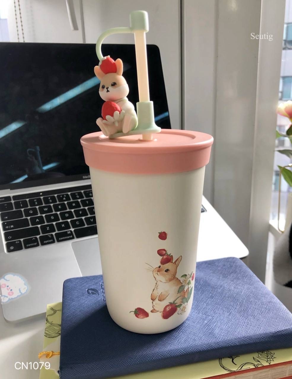 IMG_9305-1737039032080