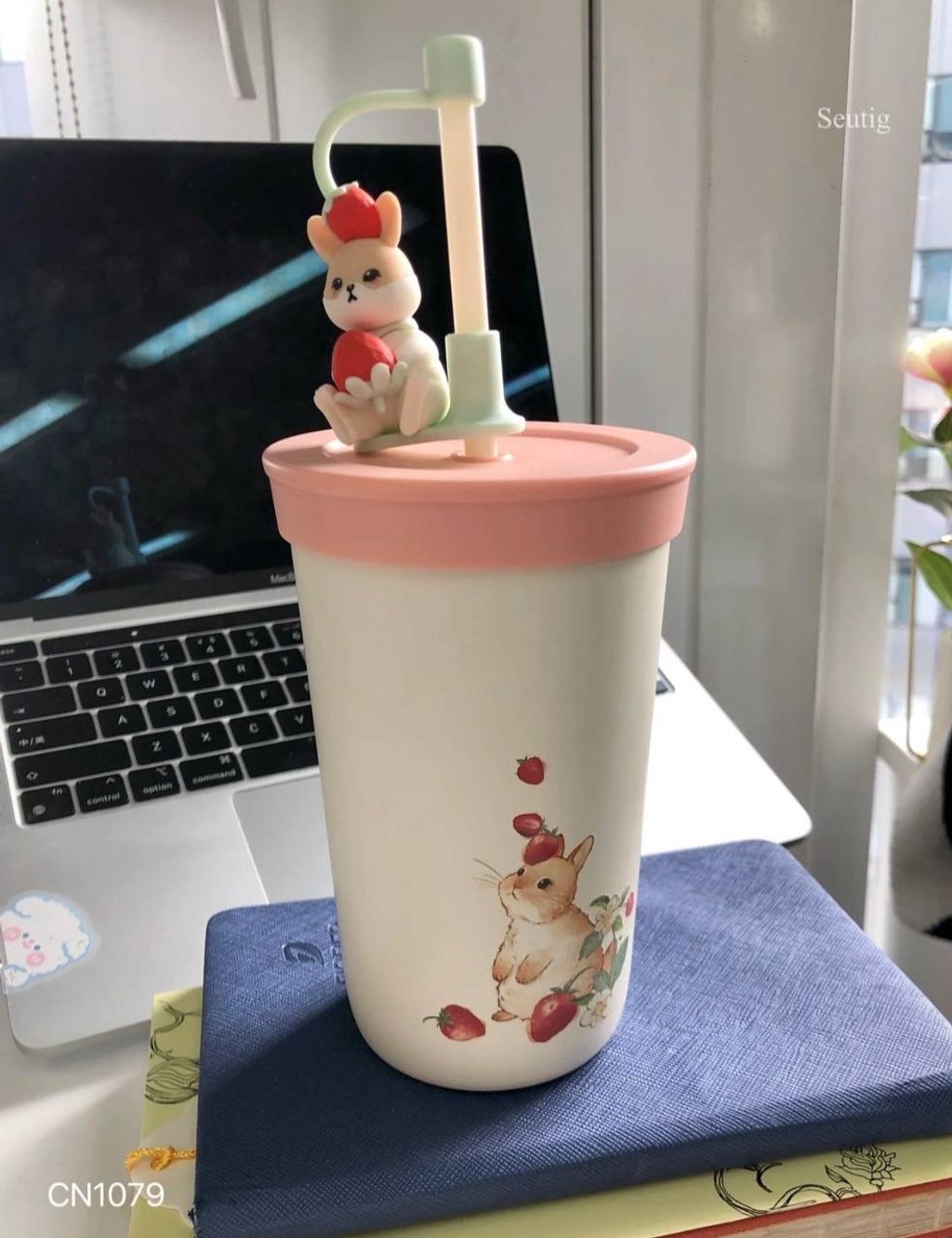 IMG_9305-1737039032080