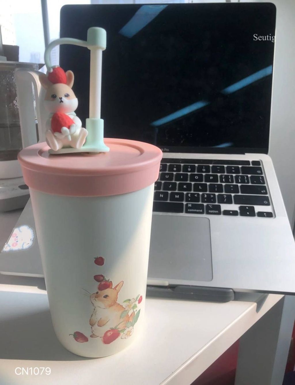 IMG_9307-1737039032093