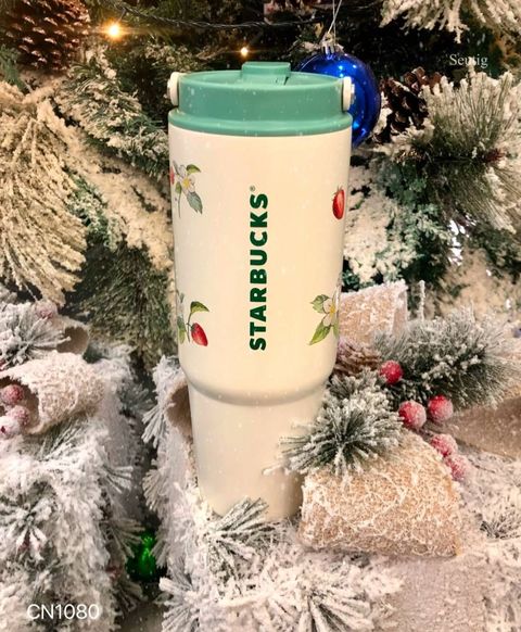 IMG_9310-1737039071166